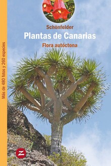 PLANTAS DE CANARIAS-FLORA AUTOCTONA