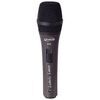 MICROFONO PRODIPE TT1 LANEN