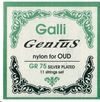 GALLI GENIUS GR75 LAUD ARABE (OUD) (JGO.)