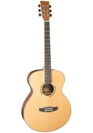 GUITARRA ACUSTICA TANGLEWOOD FOLK DBTFHR