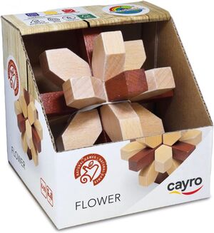 FLOWER CAYRO 692