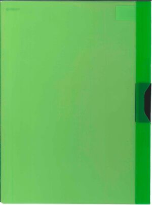 DOSSIER CON PINZA VERDE CLARO CARCHIDEA 1012K51