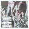 CANARIAS EN NAVIDAD (CD)