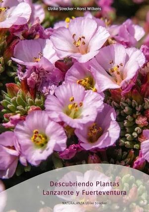 DESCUBRIENDO PLANTAS LANZAROTE Y FUERTEVENTURA