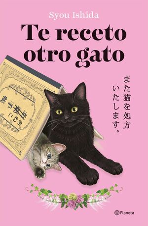 TE RECETO OTRO GATO (TE RECETO UN GATO 2)