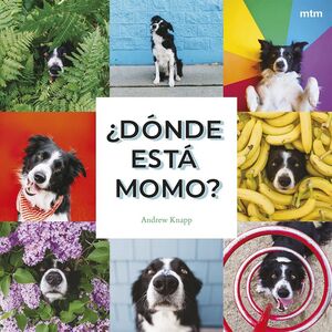 DÓNDE ESTÁ MOMO?