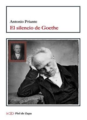EL SILENCIO DE GOETHE