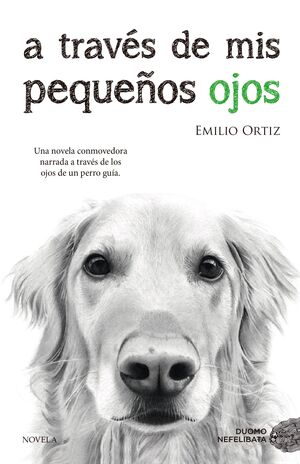 A TRAVÉS DE MIS PEQUEÑOS OJOS