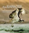 AVES RAPACES DE CANARIAS.RAPTORS OF THE CANARY ISL