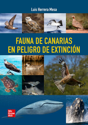 FAUNA DE CANARIAS EN PELIGRO DE EXTINCION