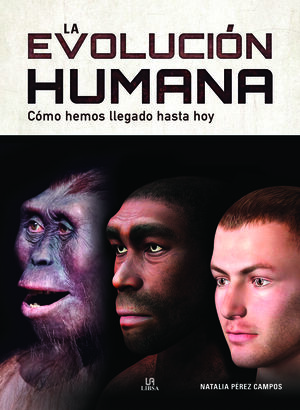 LA EVOLUCION HUMANA