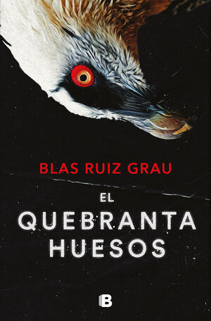 EL QUEBRANTAHUESOS (NICOLÁS VALDÉS 4)