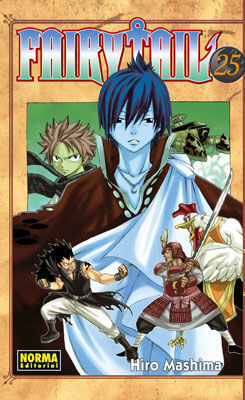 FAIRY TAIL 25