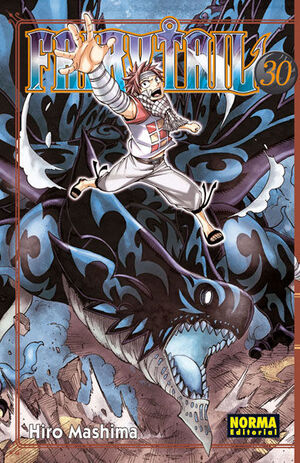 FAIRY TAIL 20