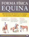 FORMA FÍSICA EQUINA