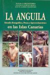 LA ÁNGUILA