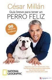 GUÍA BREVE PARA TENER UN PERRO FELIZ