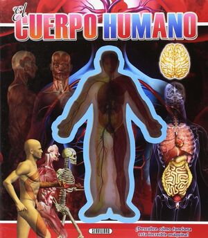 EL CUERPO HUMANO