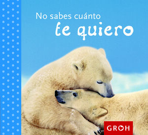 NO SABES CUÁNTO TE QUIERO