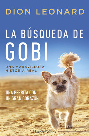 LA BÚSQUEDA DE GOBI