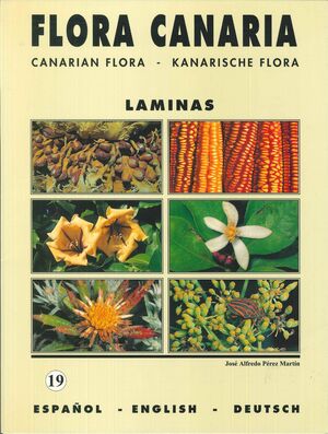 FLORA CANARIA 19 (LAMINAS)