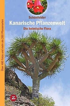 KANARISCHE PFLANZENWELT-DIE HEIMISCHE FLORA