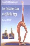 LOS MÚSCULOS CLAVE EN EL HATHA YOGA