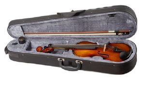VIOLÍN CARLO GIORDANO VS15 3/4