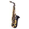 SAXO ALTO J.MICHAEL LACADO-NEGRO 800B