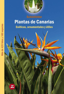 PLANTAS DE CANARIAS-EXÓTICAS, ORNAMENTALES Y ÚTILES
