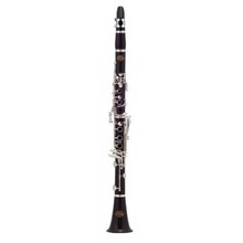 CLARINETE J.MICHAEL 750 EBANO