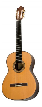 GUITARRA CLASICA VICENTE CARRILLO INDIA ESTUDIO PALO SANTO